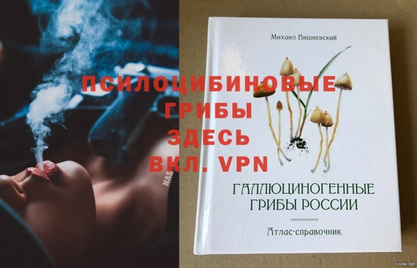 эйфоретик Переславль-Залесский